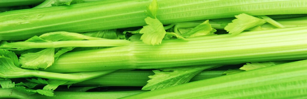 how long does celery keep in refrigerator complete answer